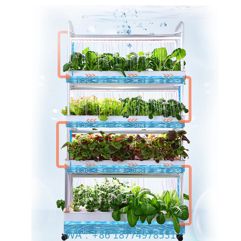 Smart Home Automation Diy - Sistema de plantación ydroponic Sistema de