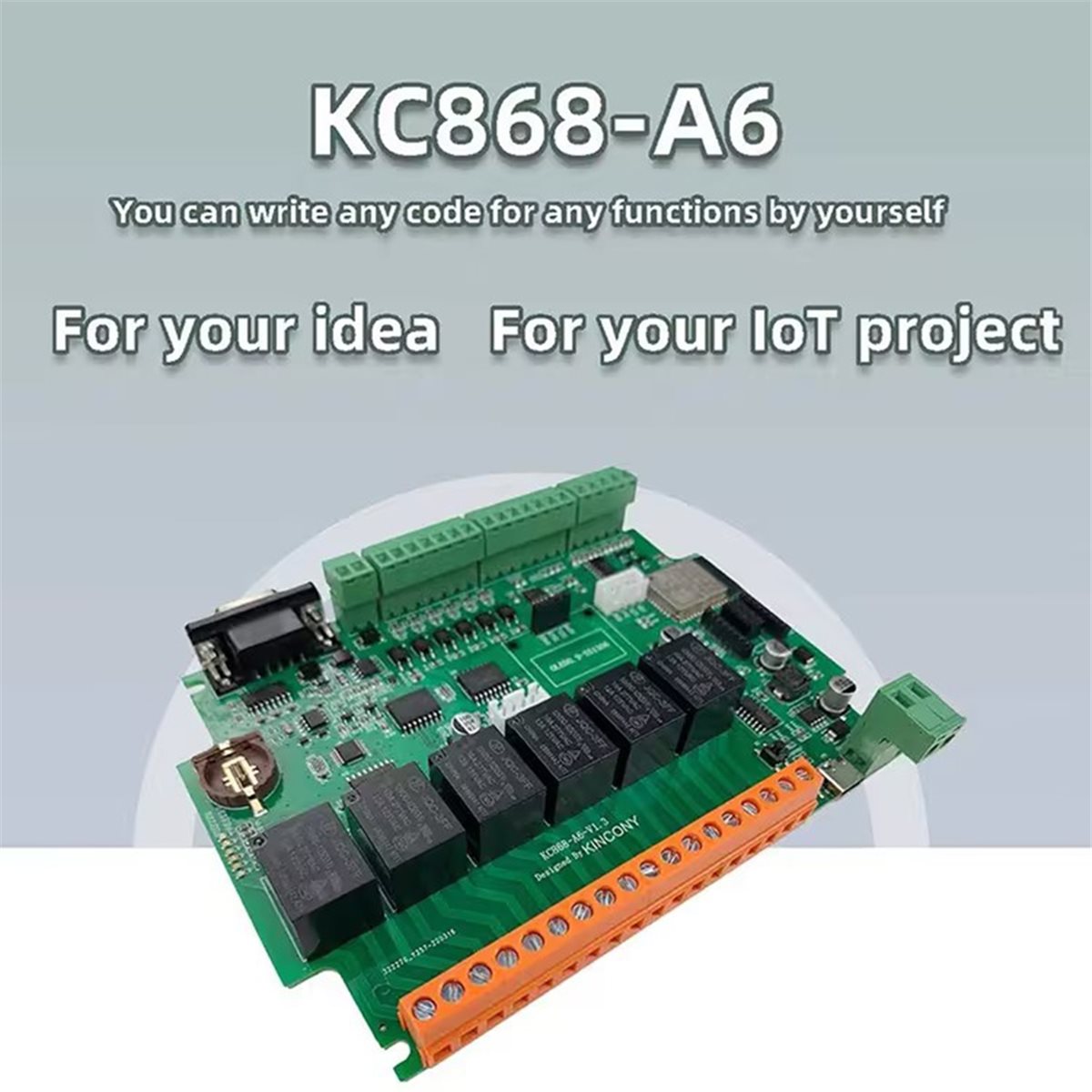 Placa de desarrollo KC868-A6,  - Diy Home Automation System reseña y precio