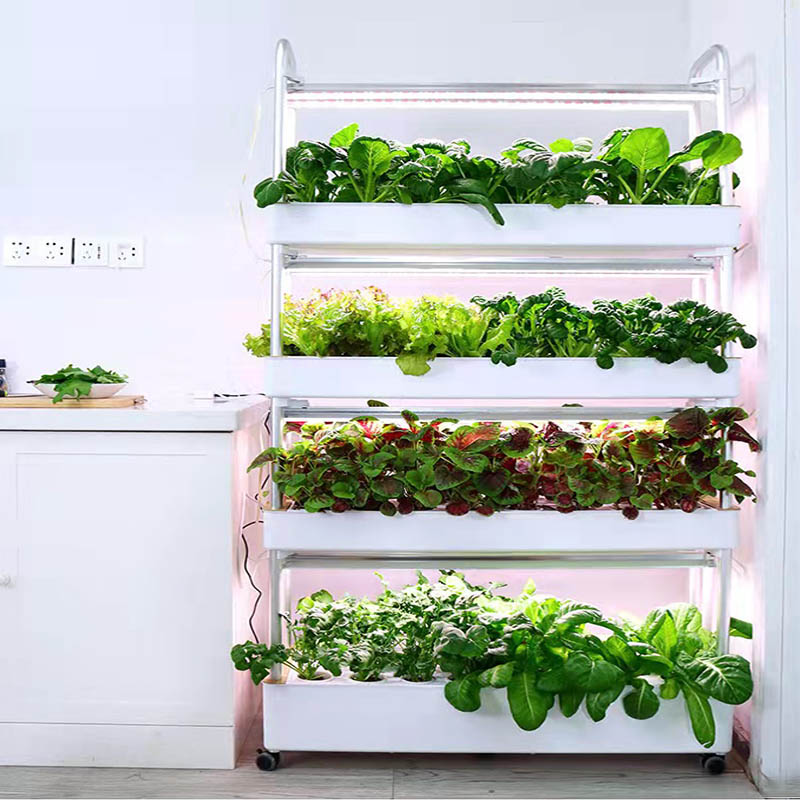 Sistema de plantación ydroponi - Smart Home Automation Diy reseña y precio