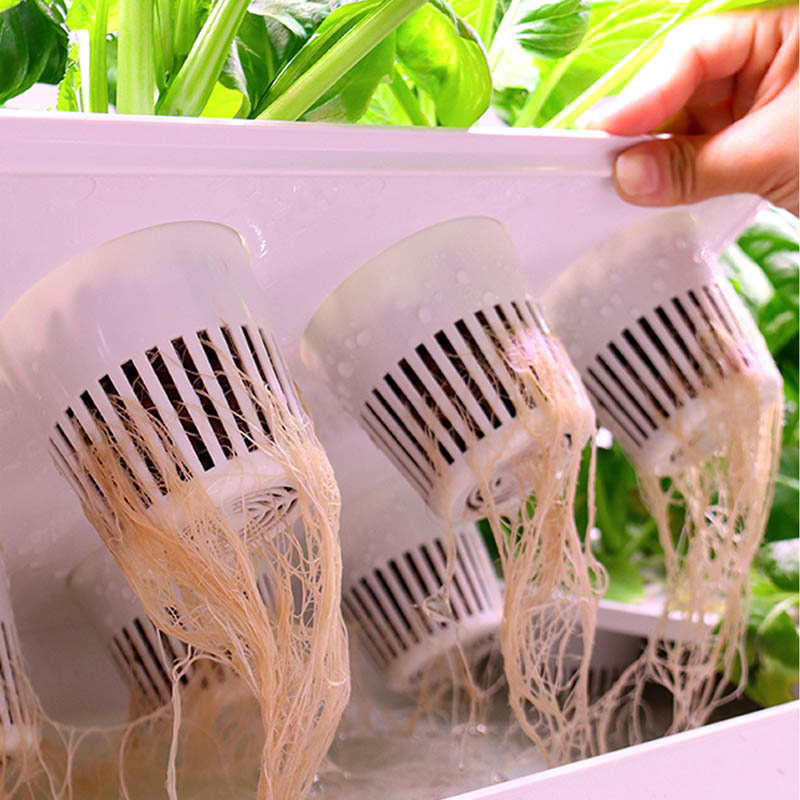 Sistema de plantación ydroponi - Smart Home Automation Diy reseña y precio
